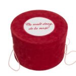 Cutie Trusou Catifea Rosu