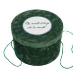 Cutie Trusou Catifea Verde