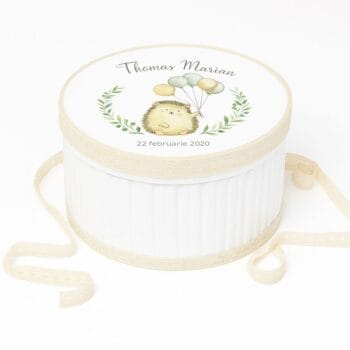 Cutie Trusou Arici Pogonici